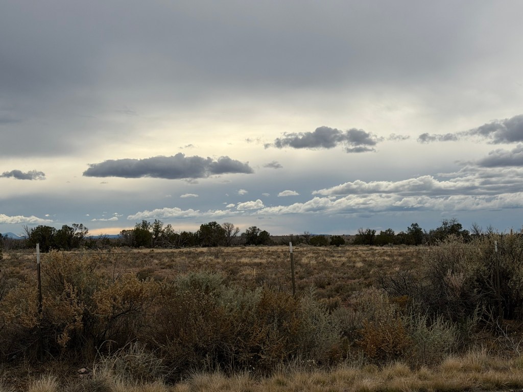 Cloudy sky and meadow